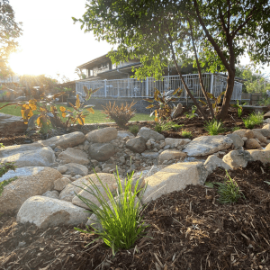 Plant-Em Townsville gardening work in Hyde Park