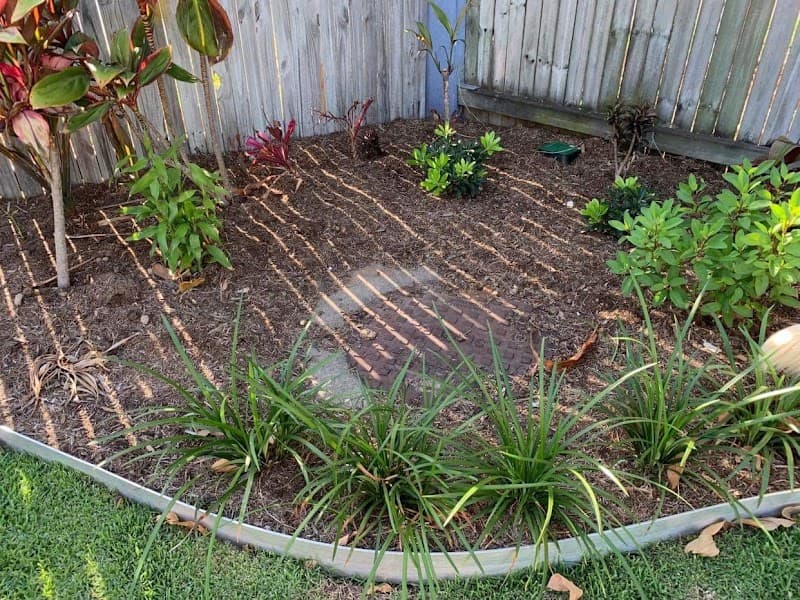 Plant-Em Townsville gardening work in Hyde Park