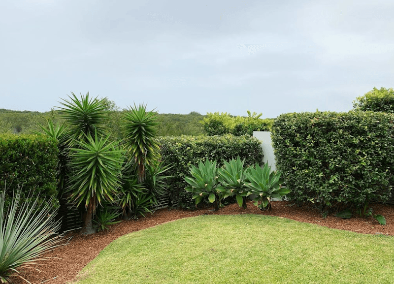 Plant It Mow It Pty Ltd gardening work in Killarney Vale