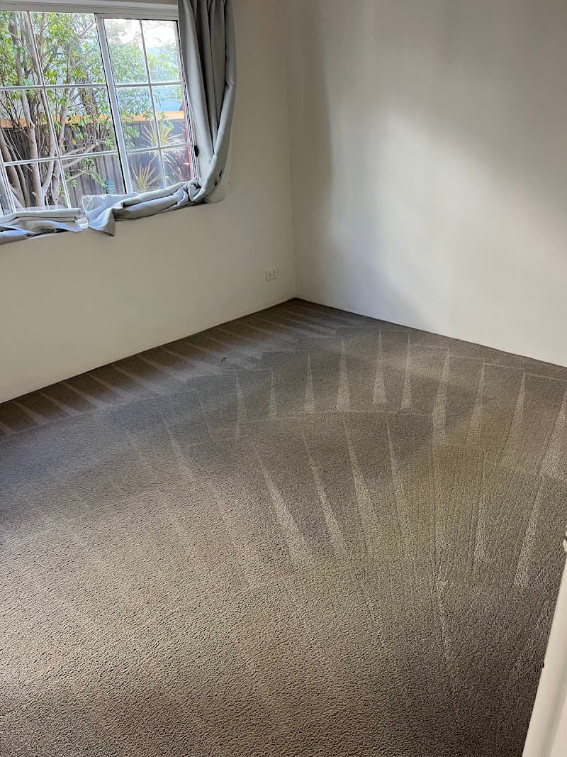Platinum Carpet & Upholstery Cleaning carpet cleaning work in Kirrawee
