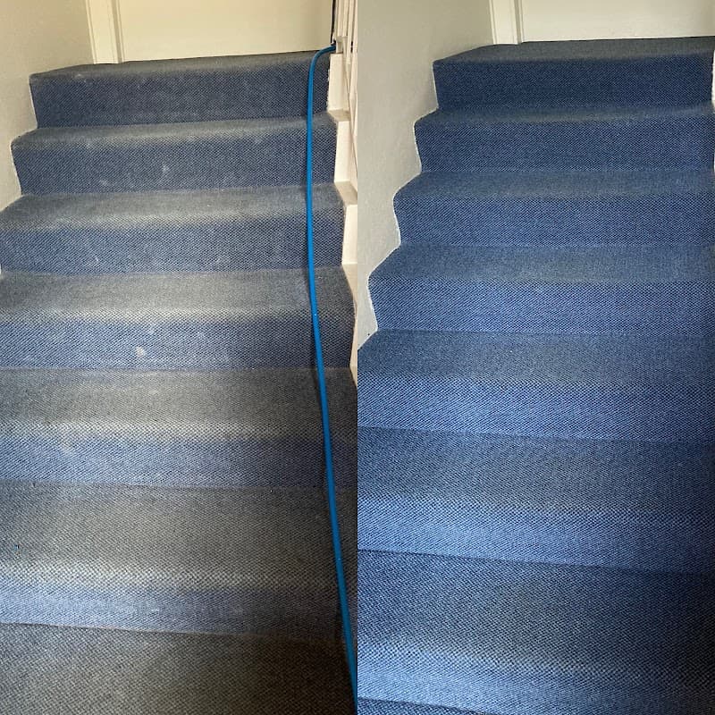 Platinum Carpet & Upholstery Cleaning carpet cleaning work in Kirrawee