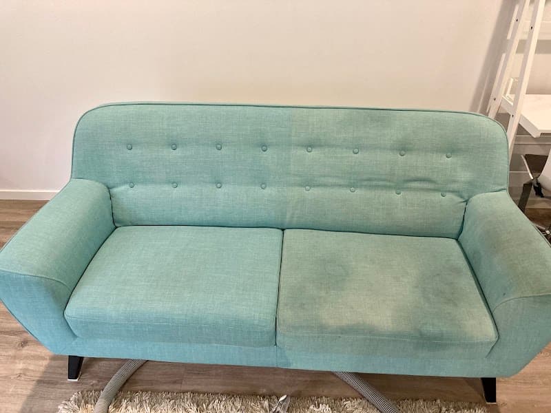 Platinum Carpet & Upholstery Cleaning carpet cleaning work in Kirrawee