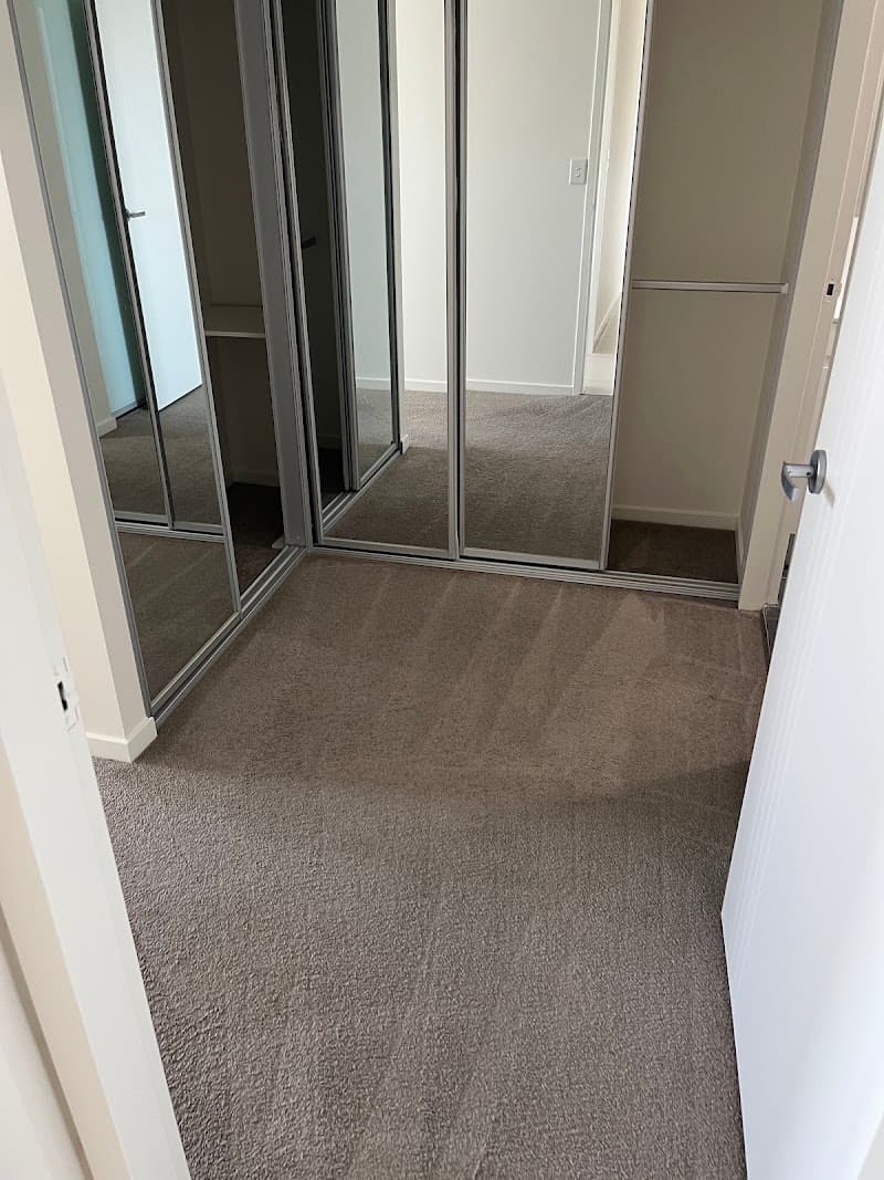 Platinum Carpet & Upholstery Cleaning carpet cleaning work in Kirrawee