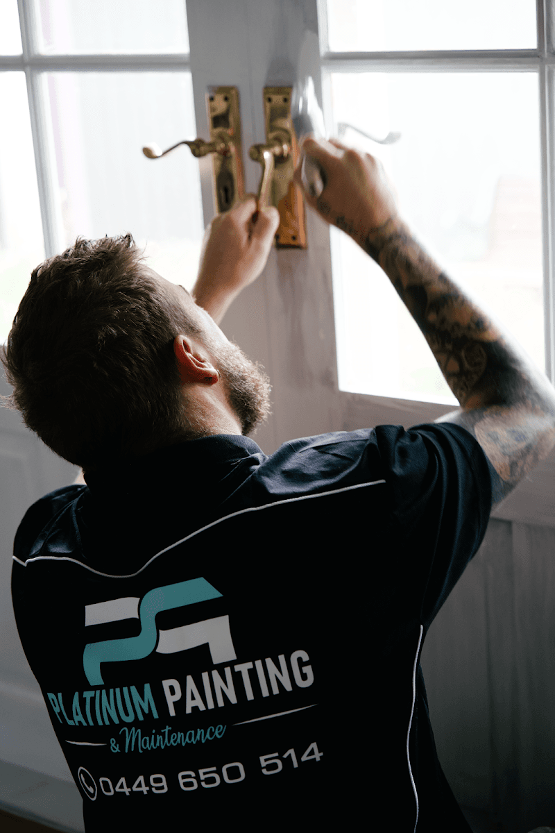 Platinum Painting & Maintenance painter work in Mayfield West