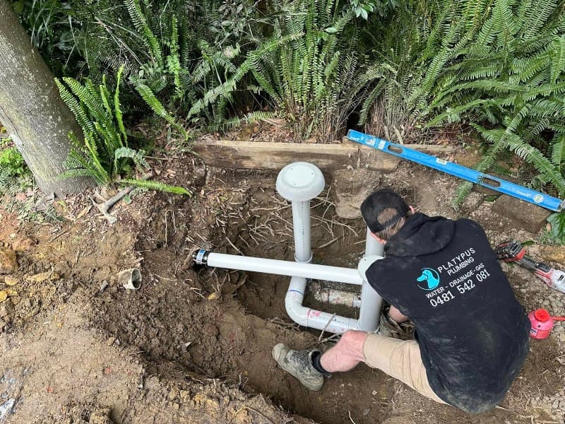 Platypus Plumbing plumber work in Asquith
