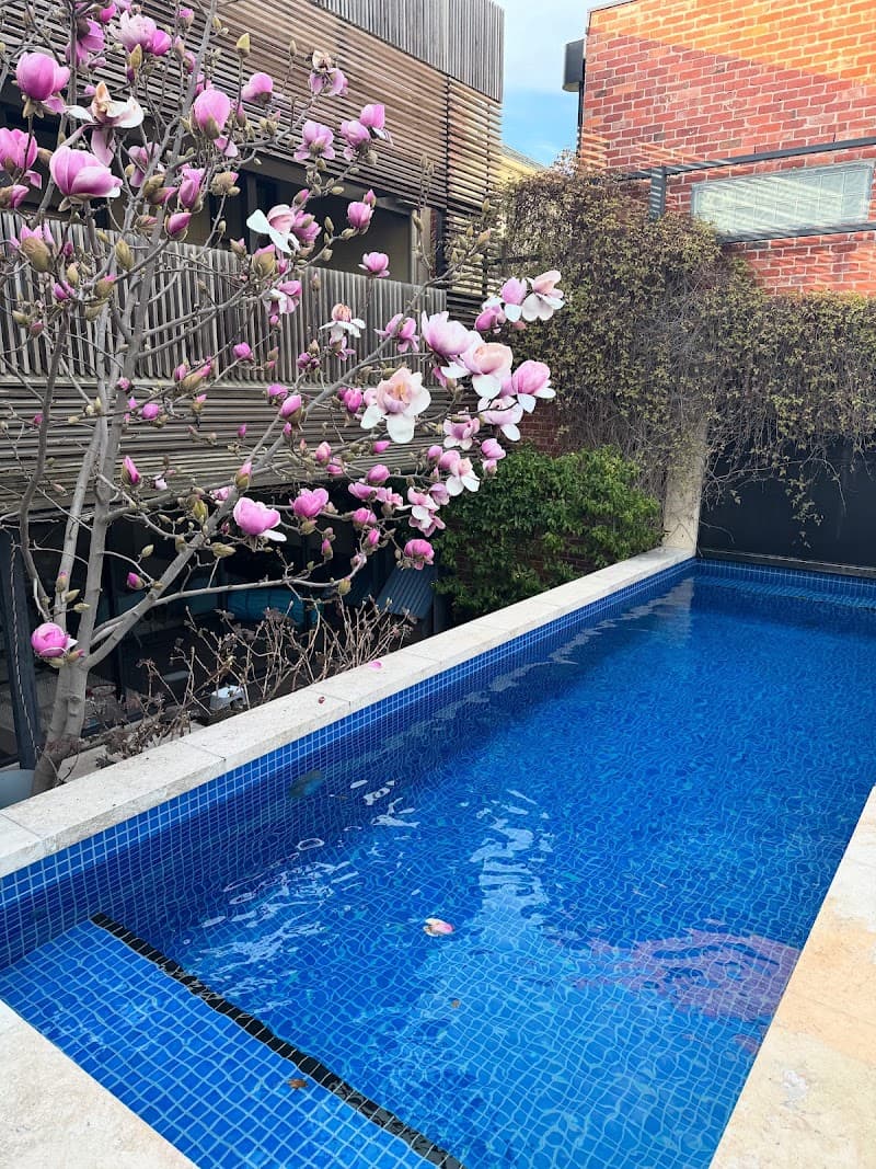 POOL RESCUE pool maintenance work in Williamstown North