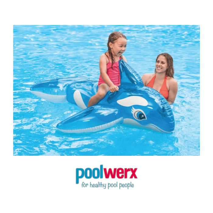 Poolwerx Bentley Park pool maintenance work in Bentley Park