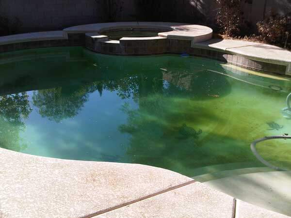 Poolzone Pool Maintenance pool maintenance work in Mermaid Waters