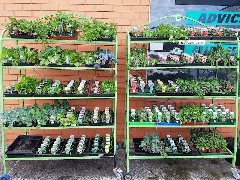 Port Garden & Hydroponics landscaping work in Port Macquarie