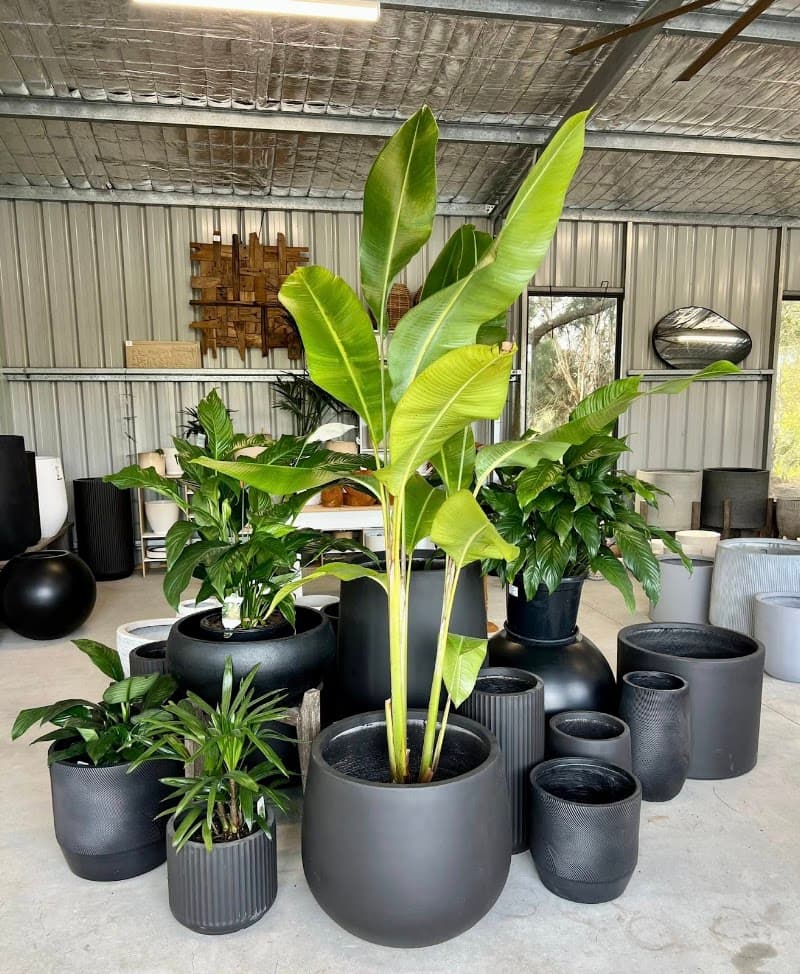 Port Landscape Supplies landscaping work in Port Macquarie