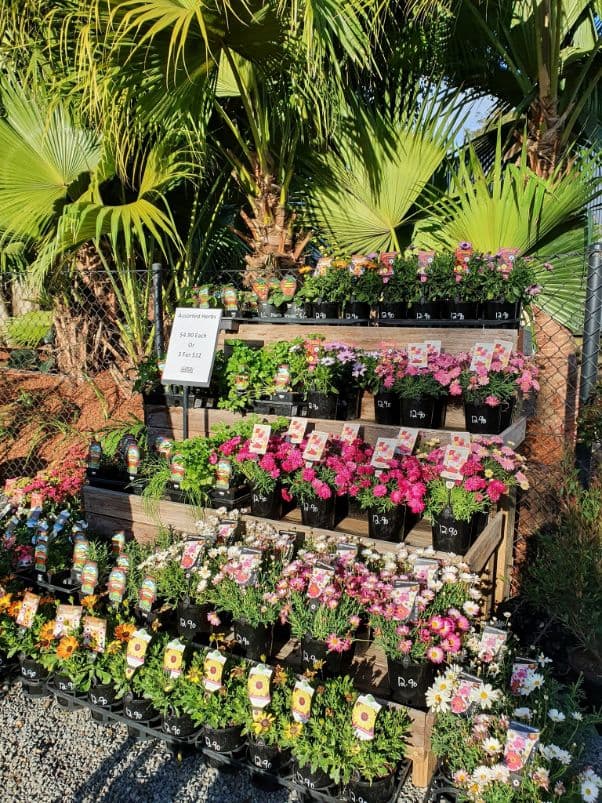 Port Landscape Supplies landscaping work in Port Macquarie