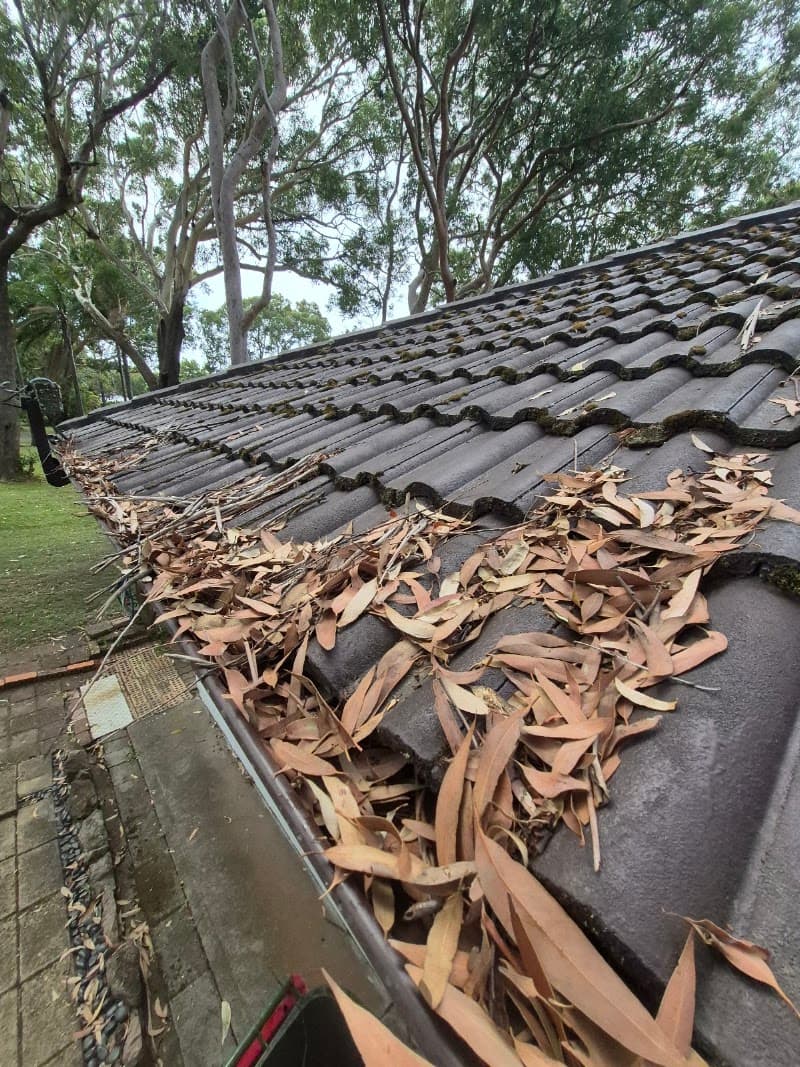 Port Stephens Gutter cleaning gutter cleaning work in Taylors Beach