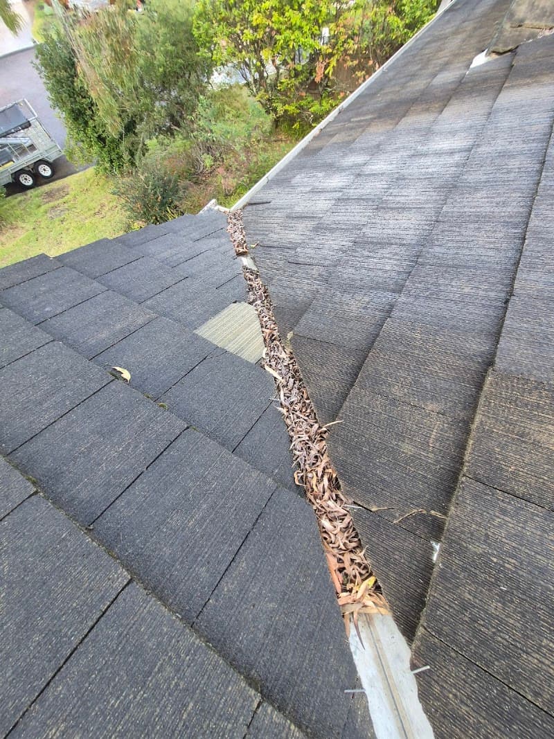 Port Stephens Gutter cleaning gutter cleaning work in Taylors Beach