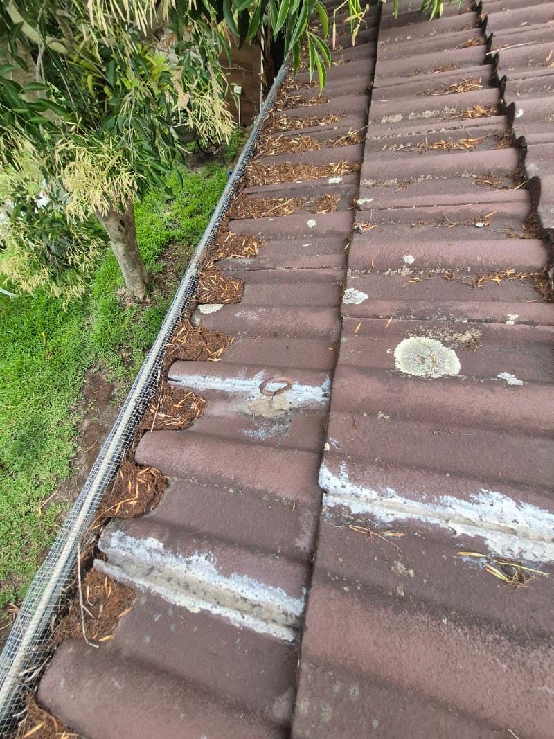 Port Stephens Gutter cleaning gutter cleaning work in Taylors Beach