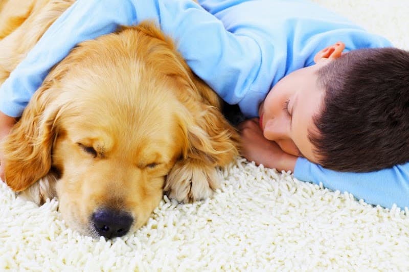 Porters Fine Cleaning Services carpet cleaning work in Kennington