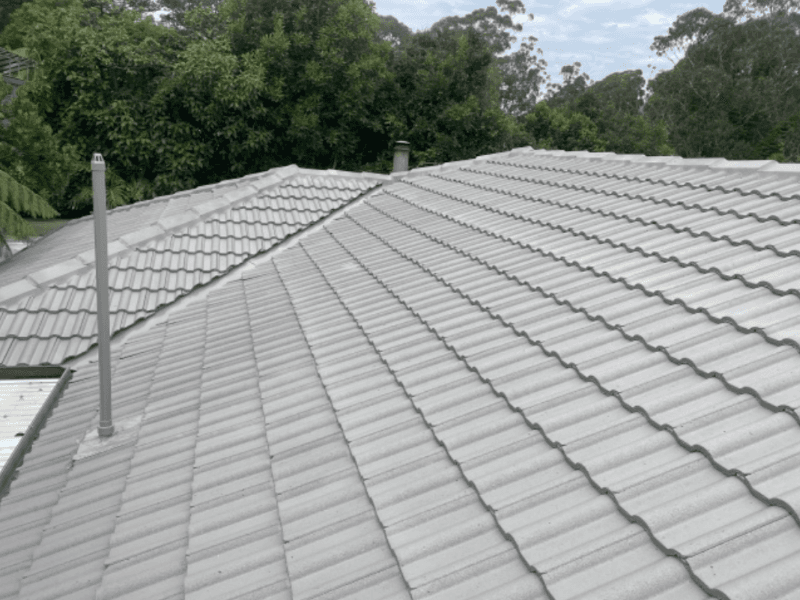 PorterVac gutter cleaning work in Mulgrave