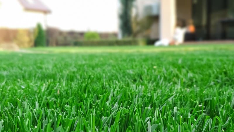 Positively Green lawn care work in Belmont