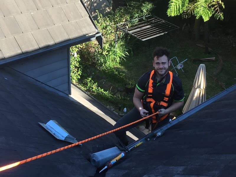 Possum Busters pest control work in Kirrawee