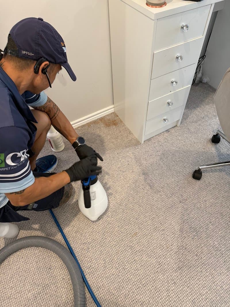 Power Steam Cleaning carpet cleaning work in Coorparoo