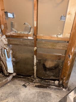 Precision Environmental Removalist