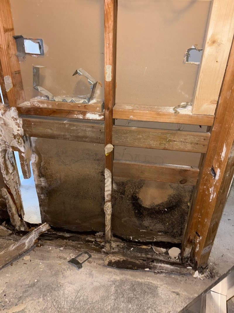 Precision Environmental Removalist asbestos removal work in Williamstown North