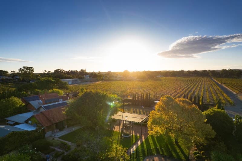 Precision Gardening Services - SA lawn care work in Lyndoch