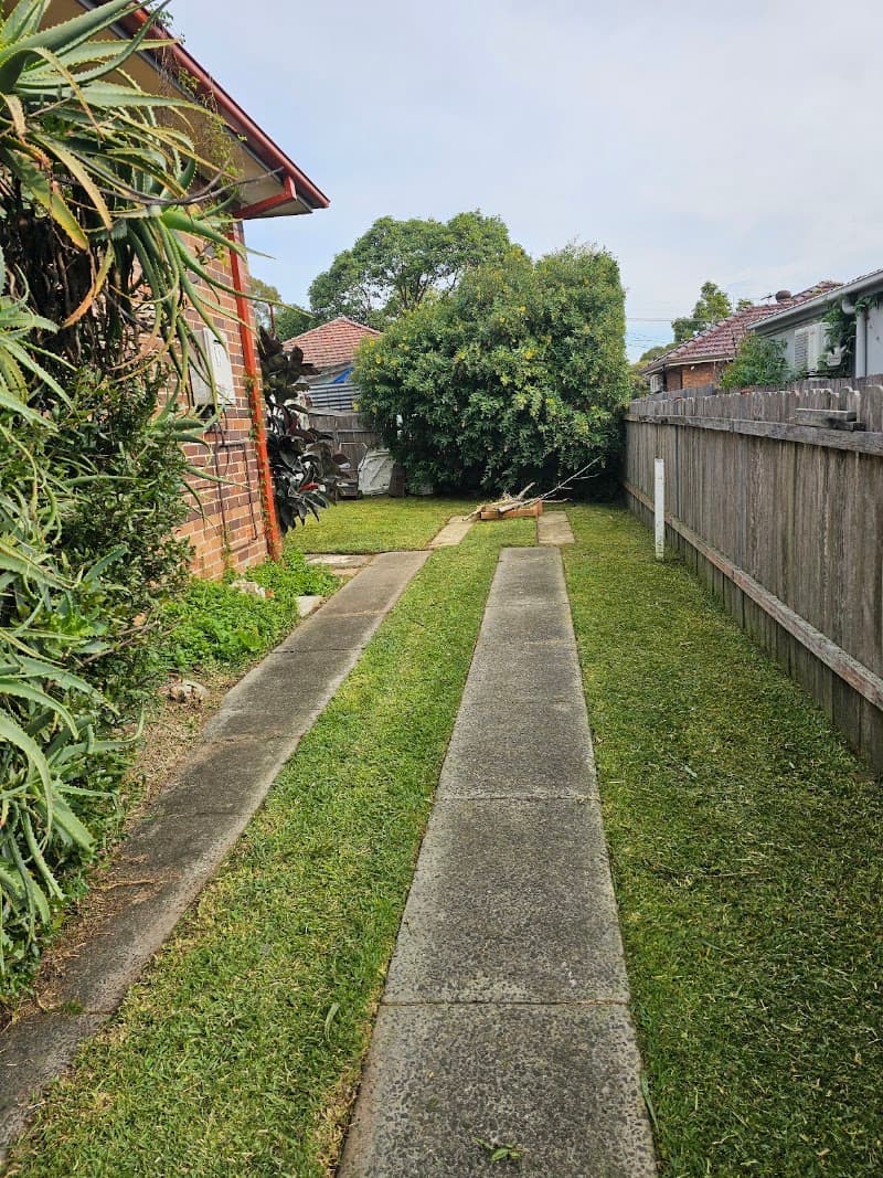 Precision Lawns and Hedges lawn care work in Parramatta
