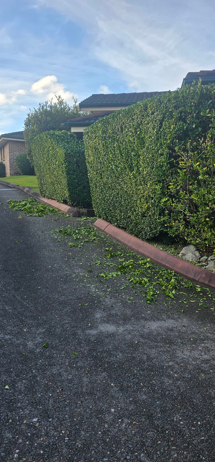 Precision Lawns and Hedges lawn care work in Parramatta