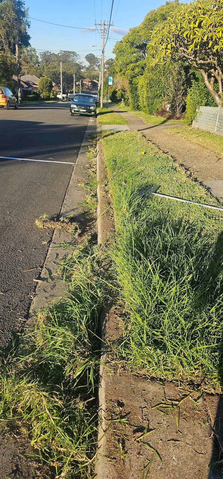 Precision Lawns and Hedges lawn care work in Parramatta