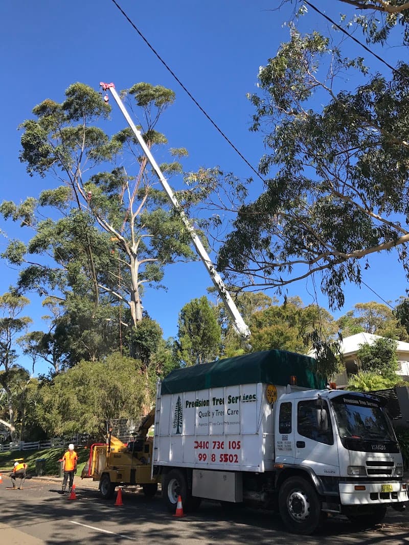 Precision Tree Services tree services work in Avalon Beach