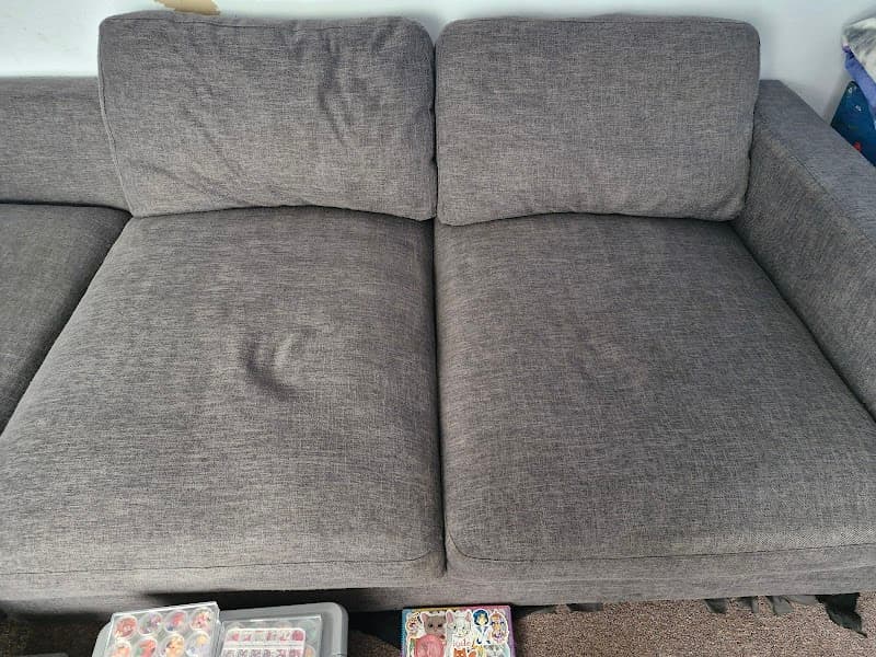 Premier Surface Cleaning carpet cleaning work in Hastings