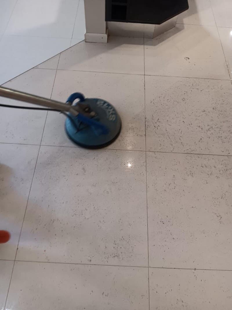 Premium Carpet Cleaning carpet cleaning work in Trinity Park