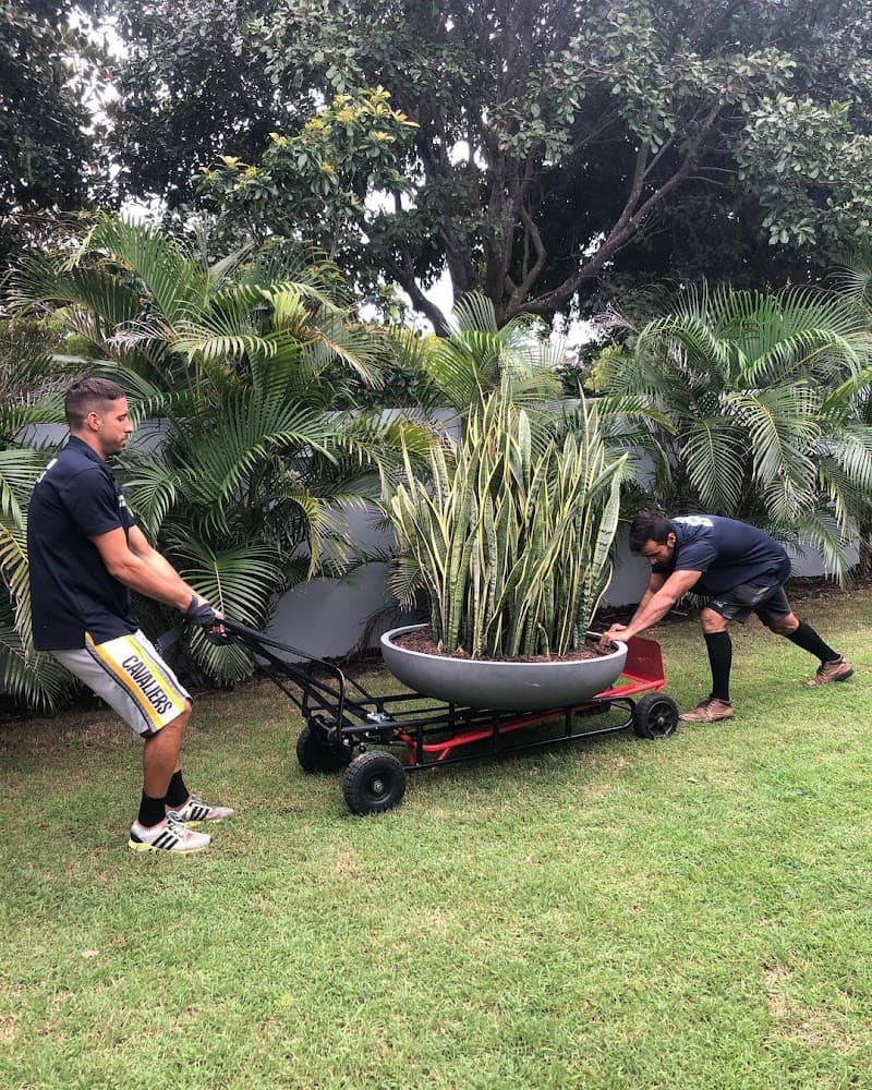 Premium Gold Coast Removals removalist work in Surfers Paradise