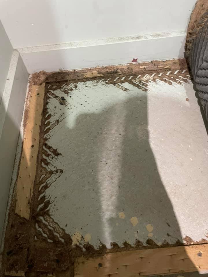 Premium Pest and Termites Hervey Bay pest control work in Urraween