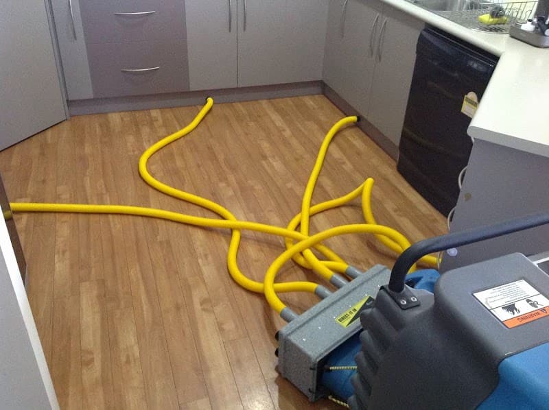 Premium Services Qld carpet cleaning work in West End