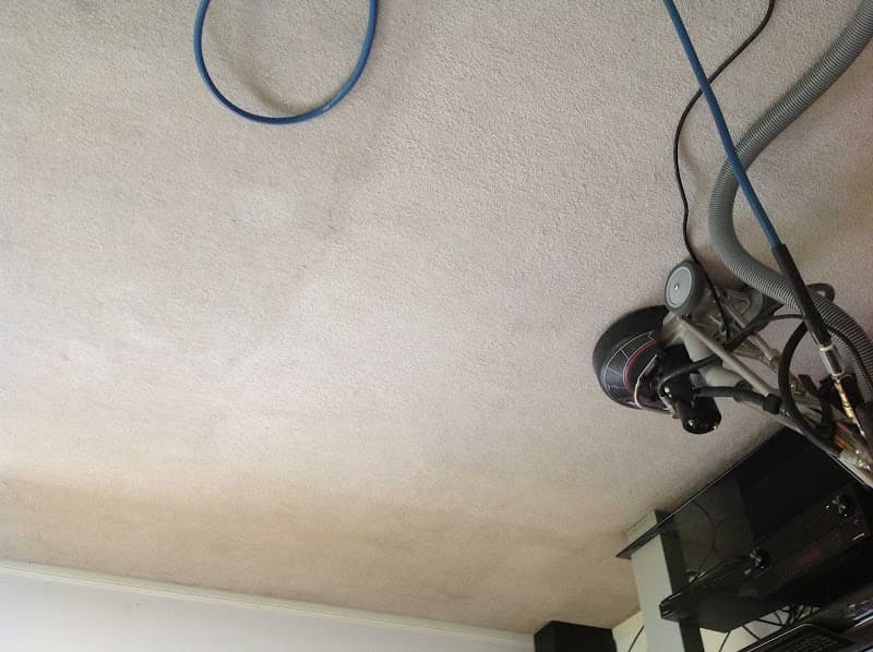Premium Services Qld carpet cleaning work in West End