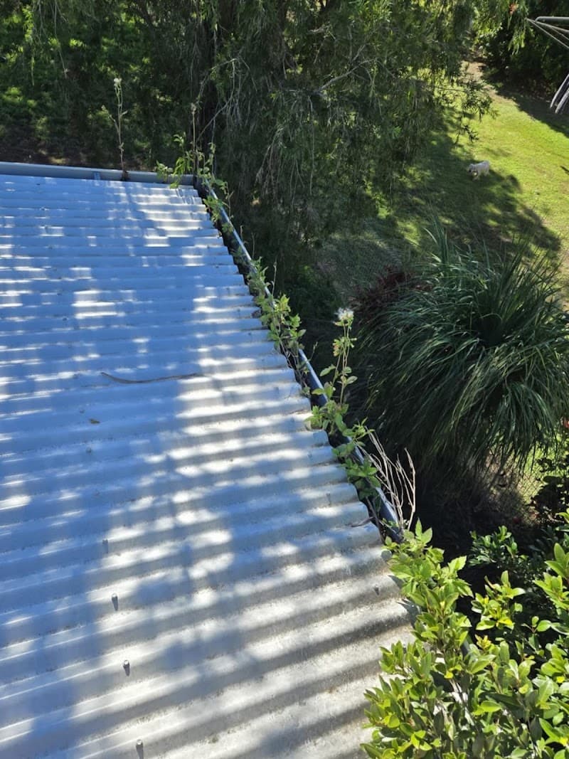 Pressure Clean Me Bundaberg carpet cleaning work in Millbank