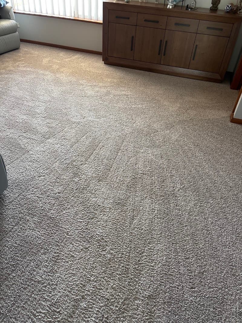 Prestige Carpet and Tile Cleaning carpet cleaning work in Chisholm