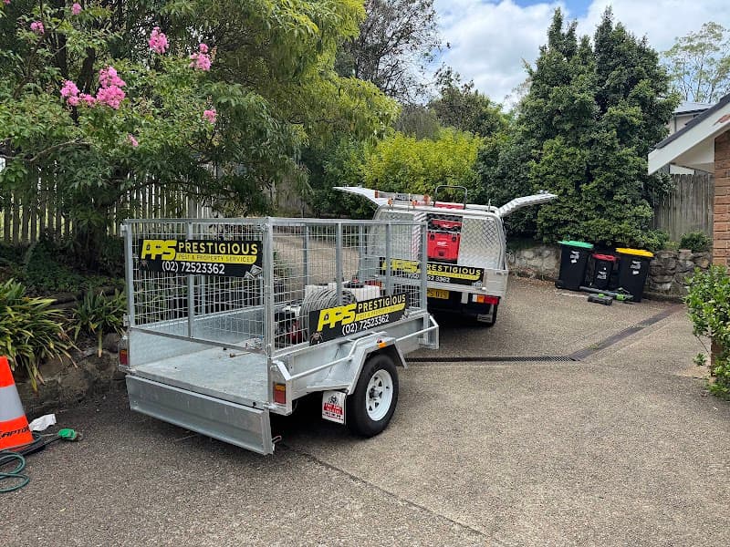 Prestigious Pest & Property Services pest control work in Rydalmere