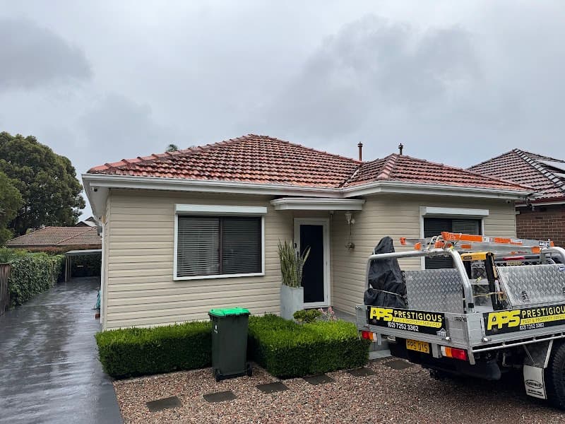 Prestigious Pest & Property Services pest control work in Rydalmere