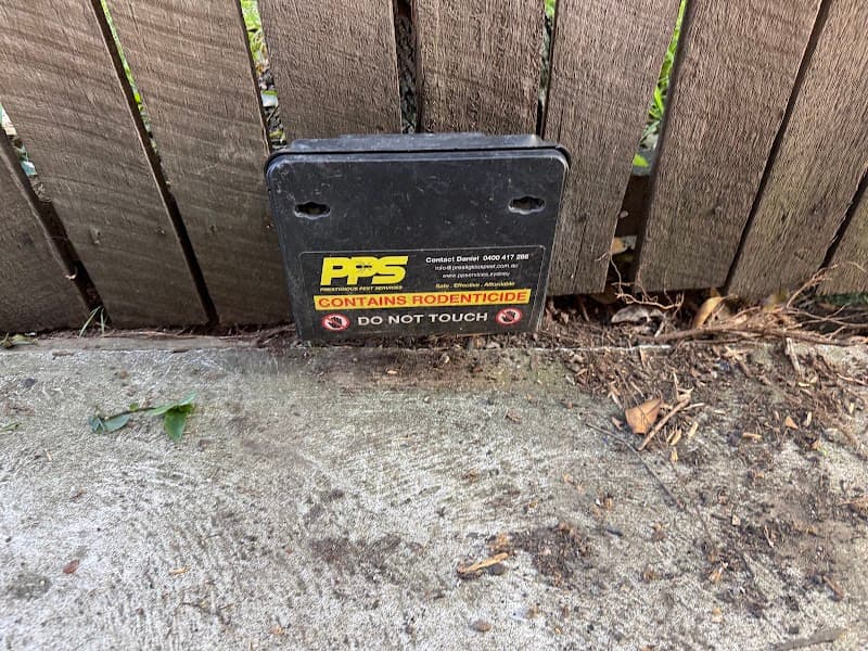 Prestigious Pest & Property Services pest control work in Rydalmere