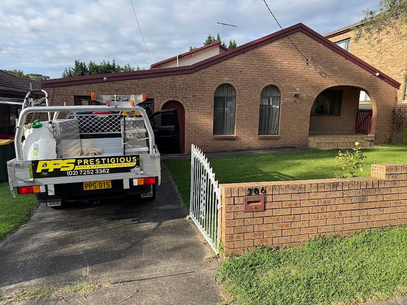 Prestigious Pest & Property Services pest control work in Rydalmere