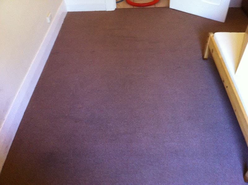 Priceless Carpet and Tile Grout Cleaning carpet cleaning work in Renown Park