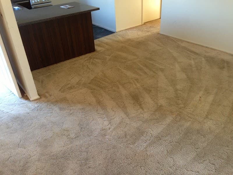 Priceless Carpet and Tile Grout Cleaning carpet cleaning work in Renown Park