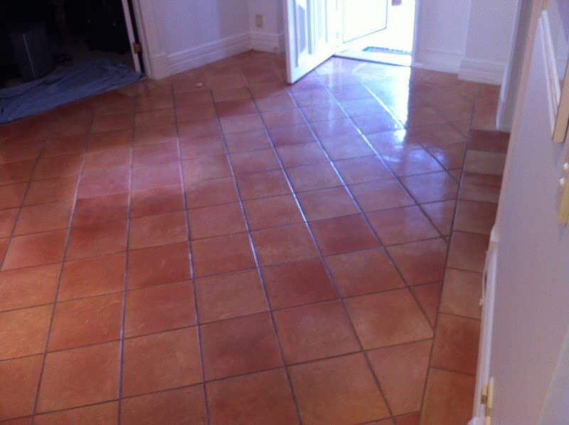 Priceless Carpet and Tile Grout Cleaning carpet cleaning work in Renown Park