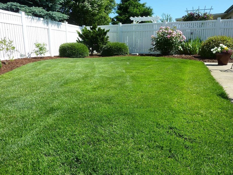 Prime Leaf Garden Care services lawn care work in Kidman Park