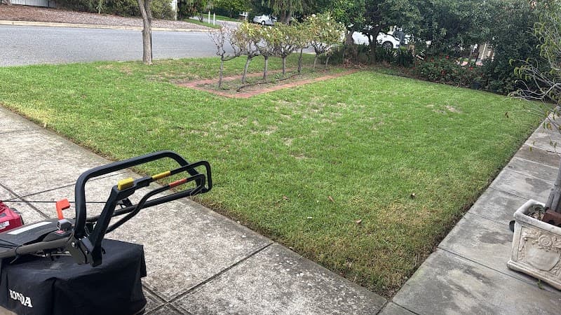 Prime Leaf Garden Care services lawn care work in Kidman Park