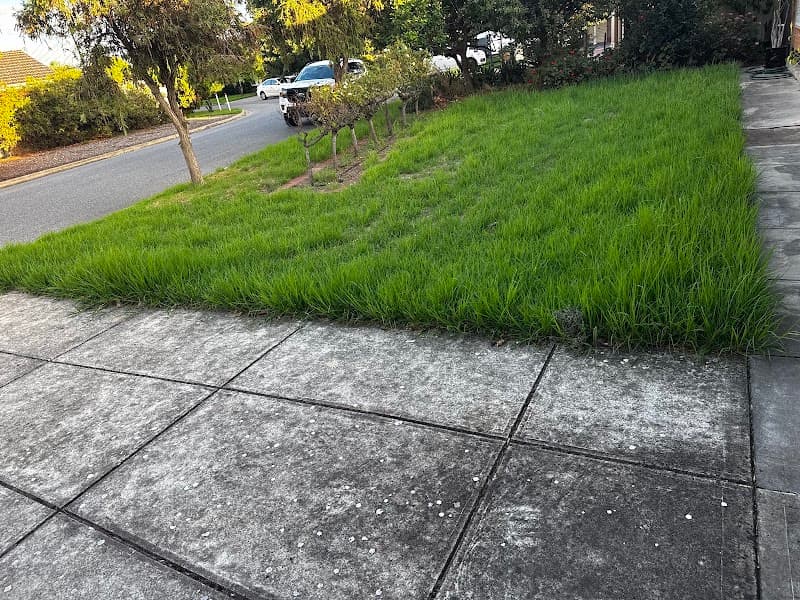 Prime Leaf Garden Care services lawn care work in Kidman Park