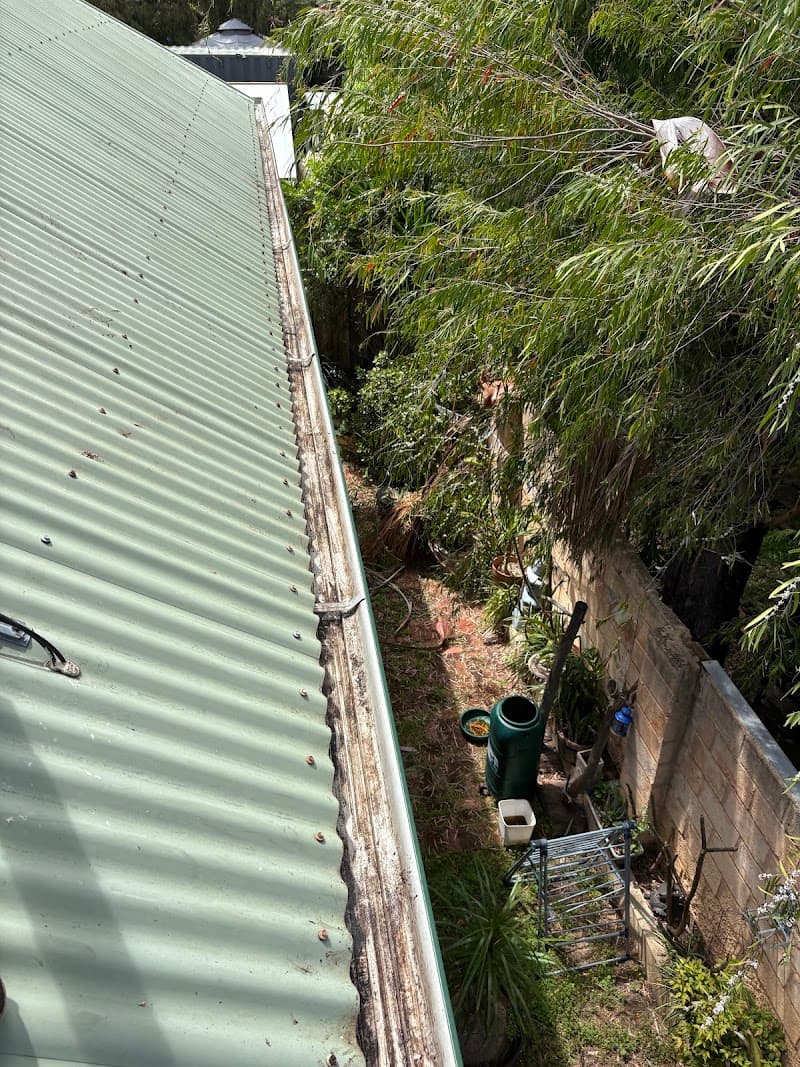 Pristine Gutter Cleaning gutter cleaning work in Munster