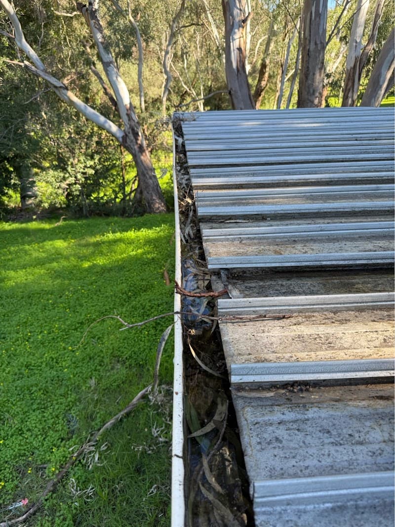 Pristine Gutter Cleaning gutter cleaning work in Munster